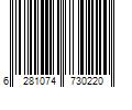 Barcode Image for UPC code 6281074730220