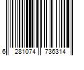 Barcode Image for UPC code 6281074736314