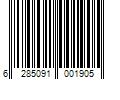 Barcode Image for UPC code 6285091001905