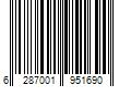 Barcode Image for UPC code 6287001951690