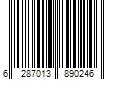 Barcode Image for UPC code 6287013890246