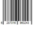 Barcode Image for UPC code 6287016960243