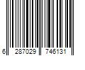 Barcode Image for UPC code 6287029746131