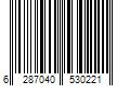 Barcode Image for UPC code 6287040530221