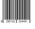 Barcode Image for UPC code 6290102024491