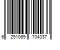 Barcode Image for UPC code 6291069704037