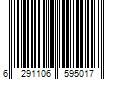 Barcode Image for UPC code 6291106595017