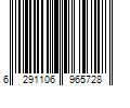 Barcode Image for UPC code 6291106965728