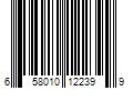 Barcode Image for UPC code 658010122399