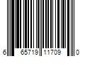 Barcode Image for UPC code 665719117090