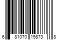 Barcode Image for UPC code 681070198738