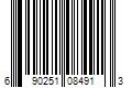 Barcode Image for UPC code 690251084913