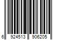 Barcode Image for UPC code 6924513906205