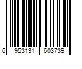 Barcode Image for UPC code 6953131603739