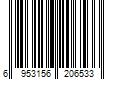 Barcode Image for UPC code 6953156206533