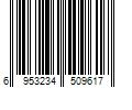 Barcode Image for UPC code 6953234509617