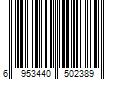 Barcode Image for UPC code 6953440502389