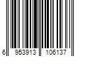 Barcode Image for UPC code 6953913106137