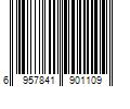 Barcode Image for UPC code 6957841901109