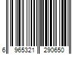 Barcode Image for UPC code 6965321290650