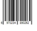 Barcode Image for UPC code 6970234890262