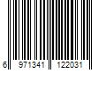 Barcode Image for UPC code 6971341122031