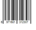 Barcode Image for UPC code 6971681312307