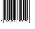 Barcode Image for UPC code 6971903873173