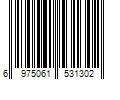 Barcode Image for UPC code 6975061531302