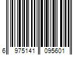 Barcode Image for UPC code 6975141095601