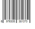 Barcode Image for UPC code 6976305381370