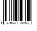 Barcode Image for UPC code 6976613851602