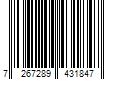 Barcode Image for UPC code 7267289431847