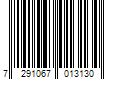 Barcode Image for UPC code 7291067013130