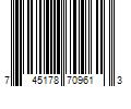 Barcode Image for UPC code 745178709613