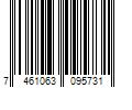 Barcode Image for UPC code 7461063095731