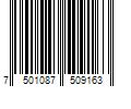 Barcode Image for UPC code 7501087509163