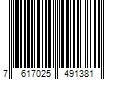 Barcode Image for UPC code 7617025491381