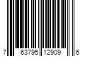 Barcode Image for UPC code 763795129096