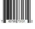 Barcode Image for UPC code 763795731312