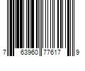 Barcode Image for UPC code 763960776179