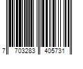 Barcode Image for UPC code 7703283405731