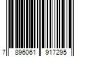 Barcode Image for UPC code 7896061917295