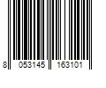 Barcode Image for UPC code 8053145163101