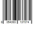 Barcode Image for UPC code 8054393137074