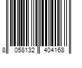 Barcode Image for UPC code 8058132404168