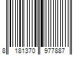 Barcode Image for UPC code 8181370977887