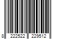 Barcode Image for UPC code 8222522229512