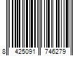 Barcode Image for UPC code 8425091746279