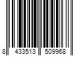 Barcode Image for UPC code 8433513509968